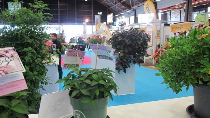 INNOVERT®, le concours de nouveautés, a mis en concurrence 36 plantes, innovations commerciales, et matériels de production. ©Pascal Fayolle